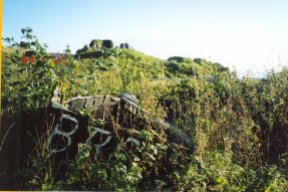 Ruin of Toravaig Castle, Sleat, Isle of Skye